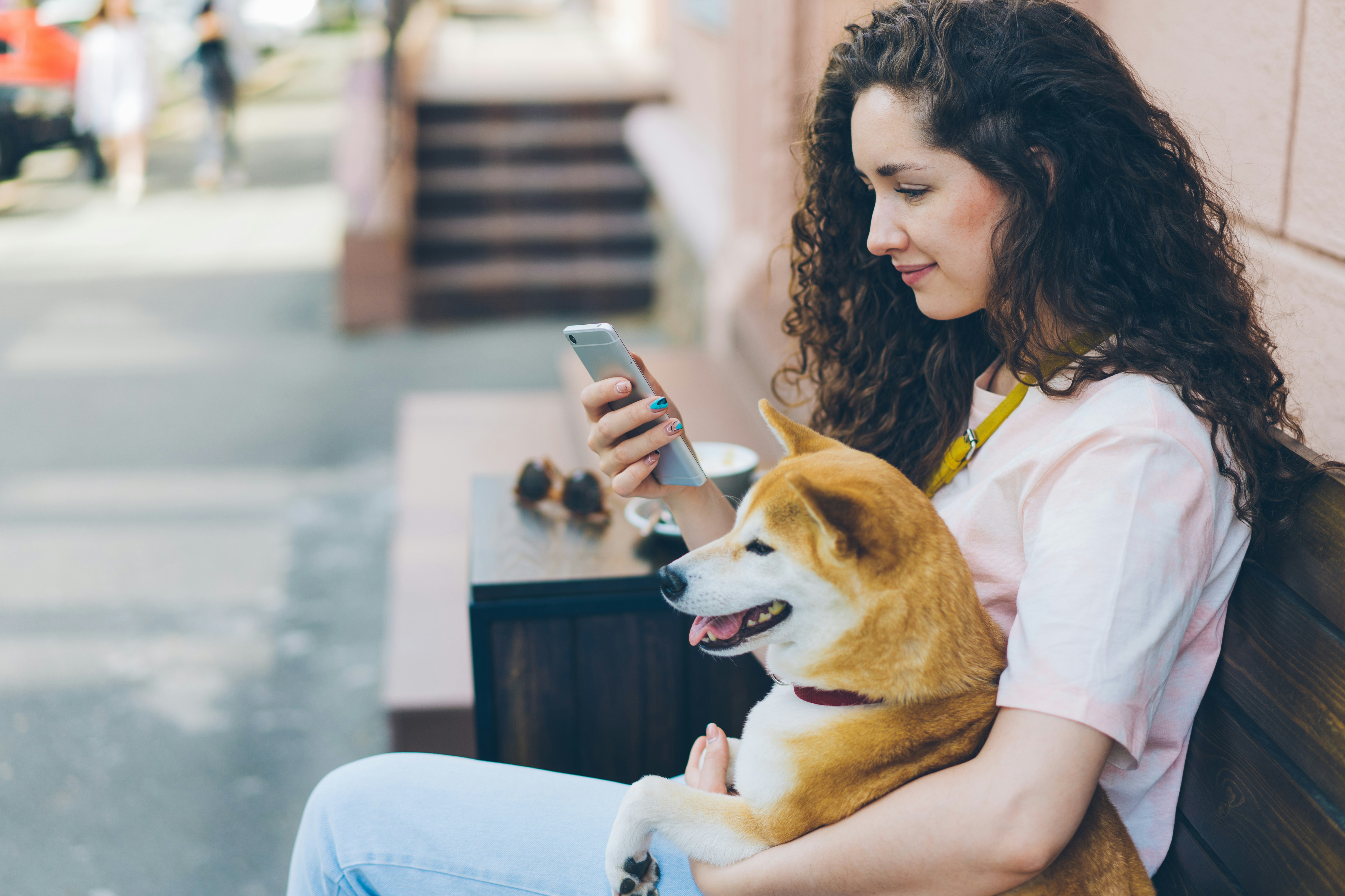 A young woman sits on a park bench with her dog and looks at her mobile phone with interest A young woman sits on a park bench with her dog and looks at her mobile phone with interest